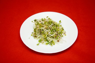 Kırmızı zemin üzerinde bir tabakta mikro-yeşil