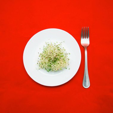 Kırmızı zemin üzerinde bir tabakta mikro-yeşil