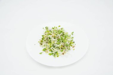 Beyaz arkaplanda bir tabakta mikro yeşil