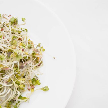 Beyaz arkaplanda bir tabakta mikro yeşil