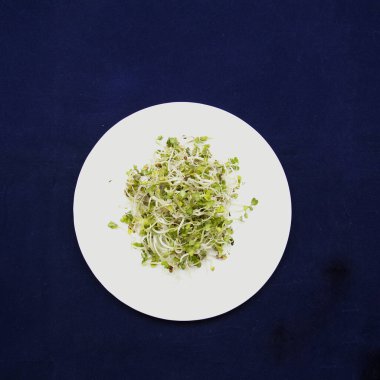 Koyu arkaplanda bir tabakta mikro yeşil