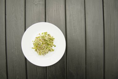 Koyu arkaplanda bir tabakta mikro yeşil