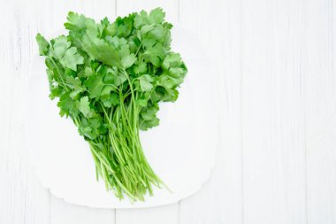 Hafif arkaplanda maydanoz