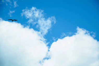 Güzel mavi gökyüzünde büyük bulutlar