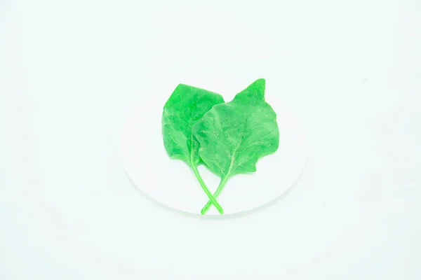 Свіжий Зелений Лист Шпинату Світлому Фоні — стокове фото