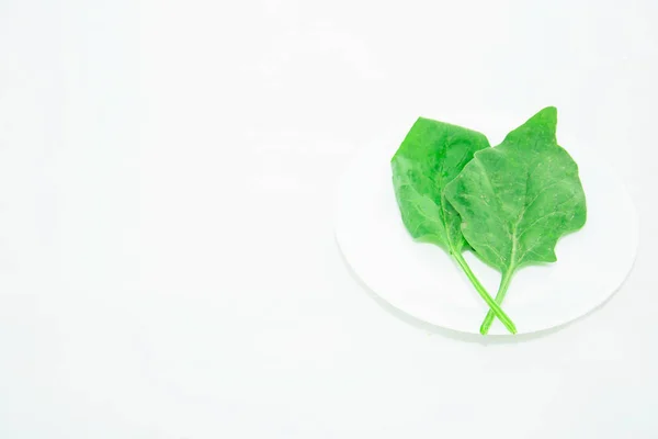 Verse Groene Spinazie Blad Lichte Ondergrond — Stockfoto