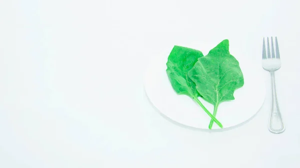 Fresh Green Spinach Leaf Light Background — Stock Photo, Image