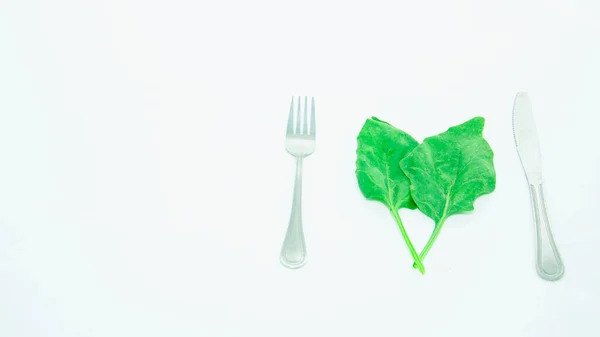 Fresh Green Spinach Leaf Light Background — Stock Photo, Image