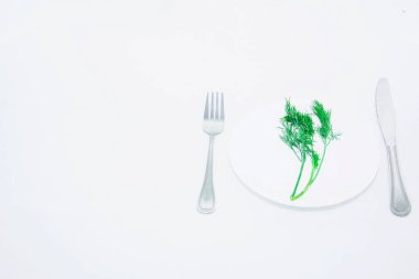 Açık arkaplanda taze yeşil dereotu dalı