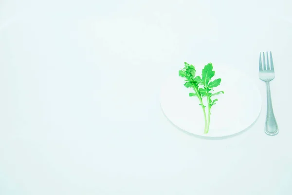 Fresh Green Arugula Leaf Light Background — Stock Photo, Image