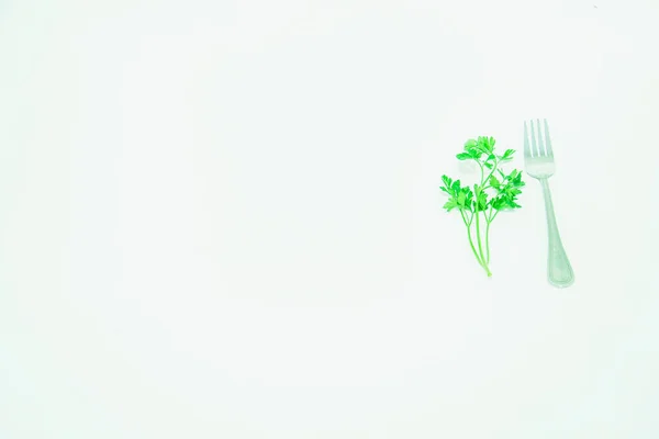 Гілка Свіжої Зеленої Петрушки Світлому Фоні — стокове фото