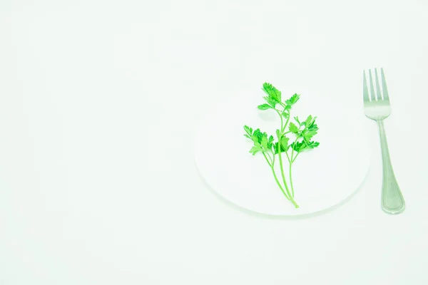 Branch Fresh Green Parsley Light Background — Stock Photo, Image