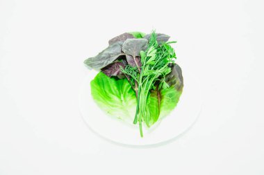 Hafif arkaplanda taze marul yaprakları