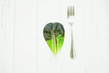 Hafif arkaplanda taze marul yaprakları