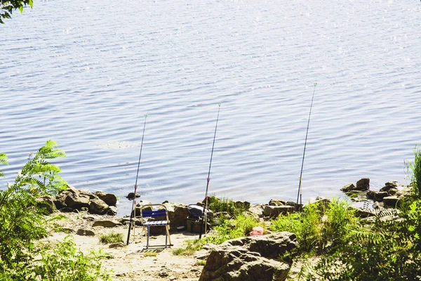 Pesca Junto Hermoso Lago Verano Vacaciones —  Fotos de Stock