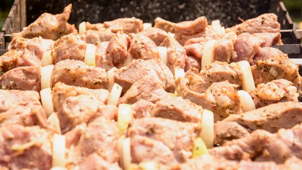 Yazın ızgarada barbekü