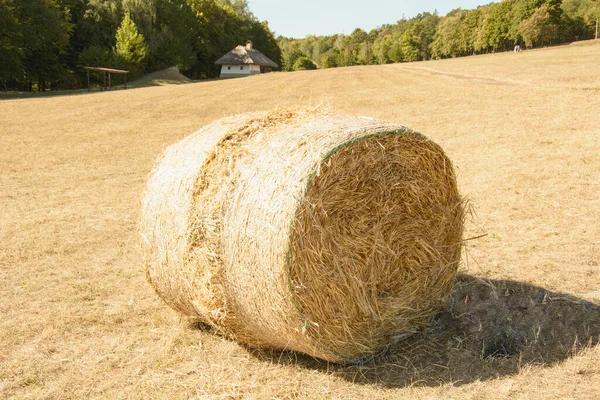 Dry Hay Rolled Stack Field — Stock Photo, Image