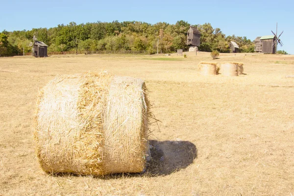 Droog Hooi Gerold Een Stapel Het Veld — Stockfoto