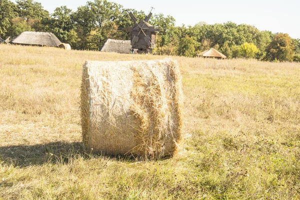 Foin Roulé Dans Une Pile Dans Une Clairière — Photo