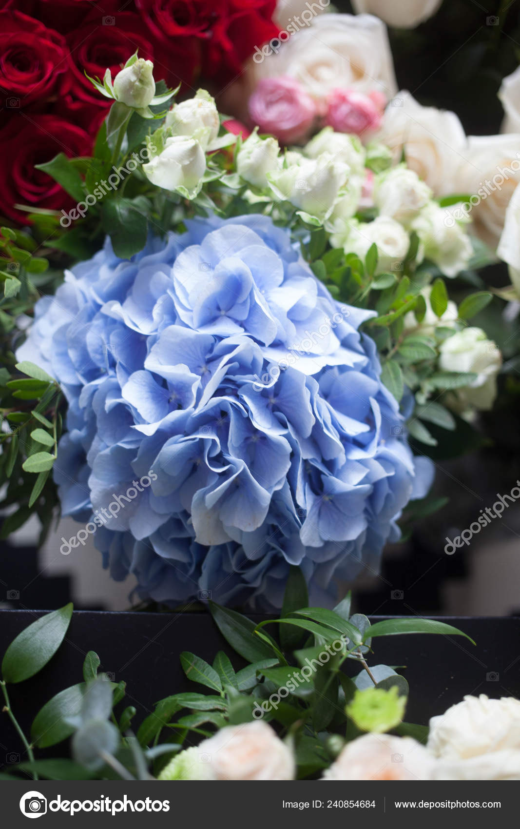 浅蓝色绣球花和白玫瑰新娘的花束母亲节和3月8日花店展示和妇女节日概念 图库照片 C Burkkina Fasso