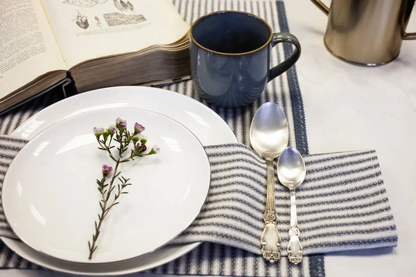 Ajuste de mesa con servilletas de lino blanco-azul estilo vintage — Foto de Stock