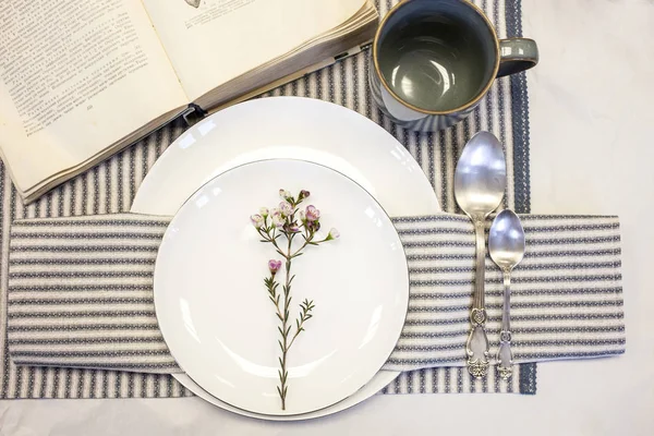 Ajuste de mesa con servilletas de lino blanco-azul estilo vintage — Foto de Stock