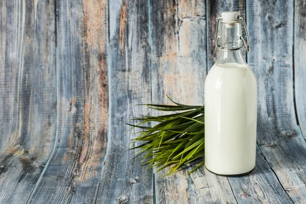 Frische Milch zum Frühstück in einer Glasflasche auf einem hölzernen Hintergrund aus Blautönen mit Gras — Stockfoto