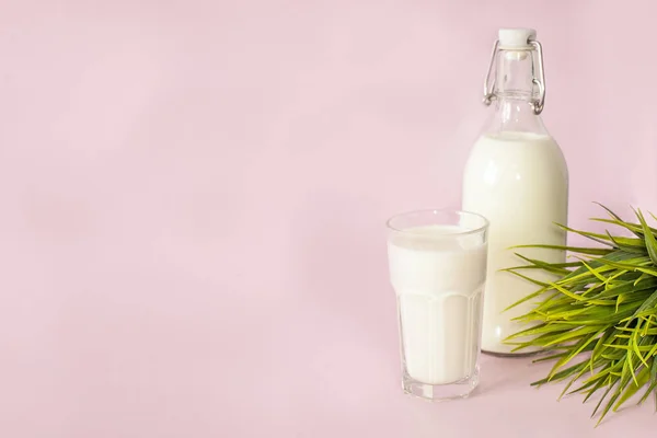 Fles verse melk en een glas melk voor het ontbijt op een roze achtergrond — Stockfoto