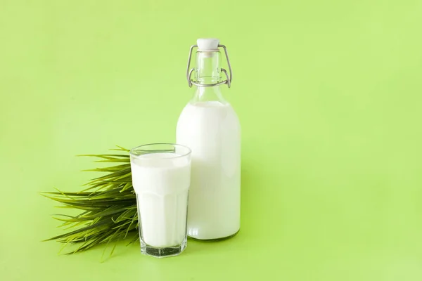 Leche en una botella y un vaso de leche sobre un fondo verde con hierba —  Fotos de Stock