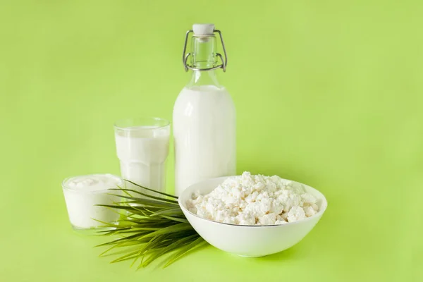 Milk in a bottle sour cream cottage cheese and a glass of milk on a green background with grass in the center of the frame — Stock Photo, Image