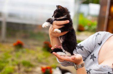 Siyah-beyaz kedi bir kadının kollarında duruyor