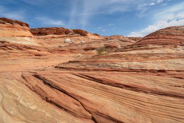 Tonto Ulusal Ormanı, Arizona çöl görünümünde. Kızılötesi