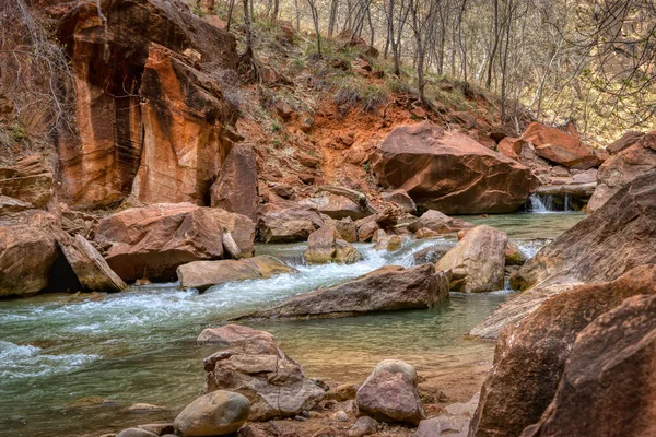 Part Virgin River Zion National Park — Stock Photo, Image