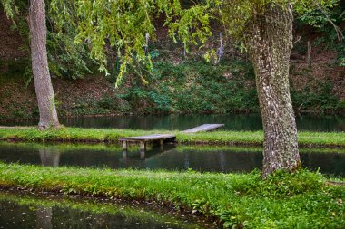 iki ağaç arasında köprü