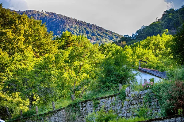 dağlarda ormanda eski ev