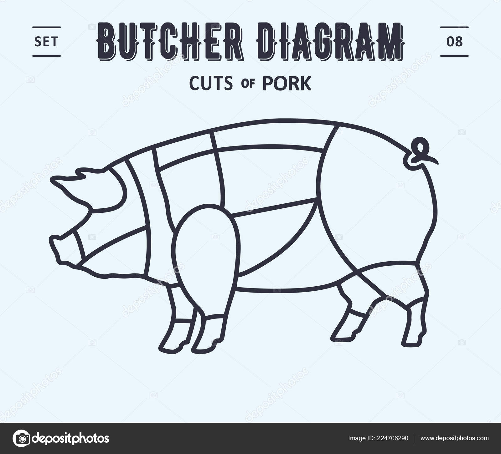 Vintage Pig Butcher Chart