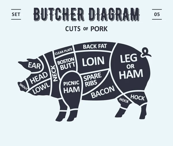 Кусочек Мяса Плакат Мясника Диаграмма Схема Свинина Винтажная Типографика Рамы — стоковый вектор