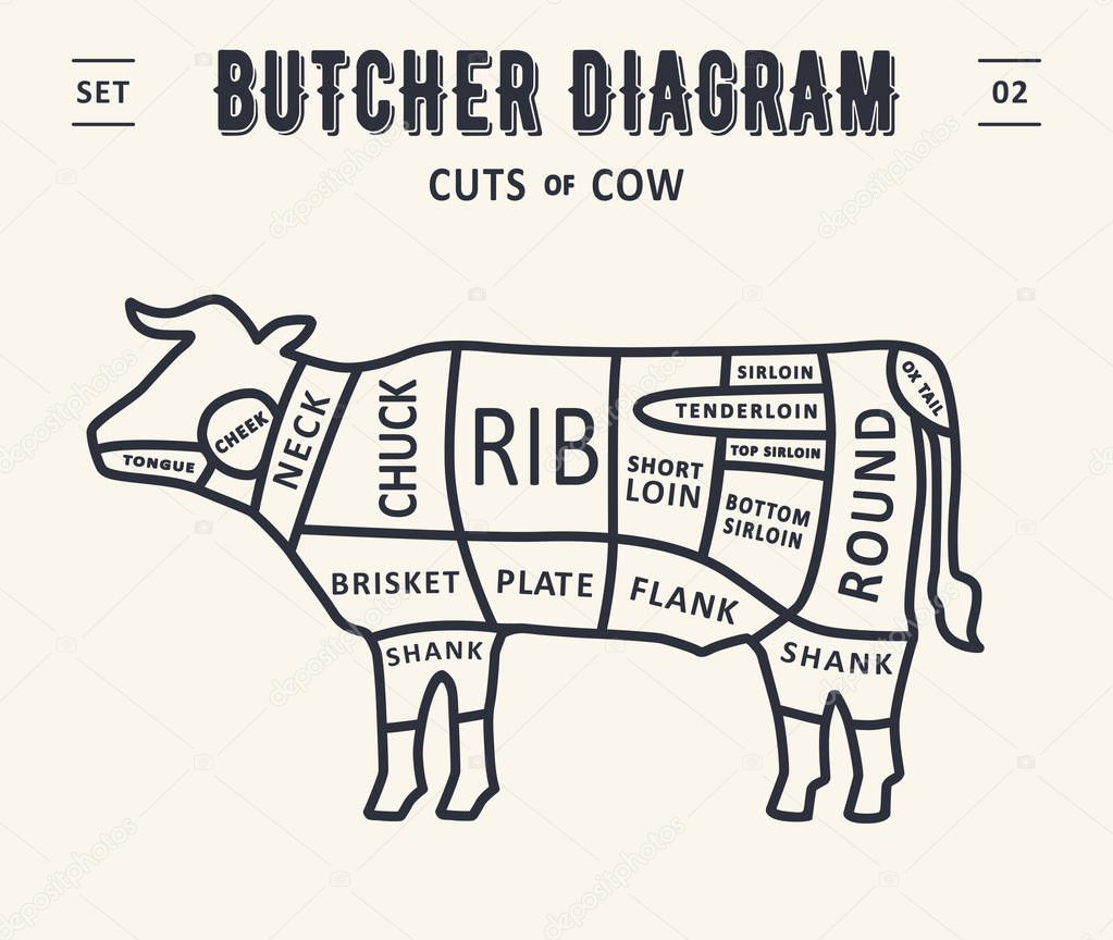Cut of meat set. Poster Butcher diagram and scheme - Beef,cow. Vintage typographic. Diagrams for butcher shop, design for restaurant or cafe. Vector Illustration