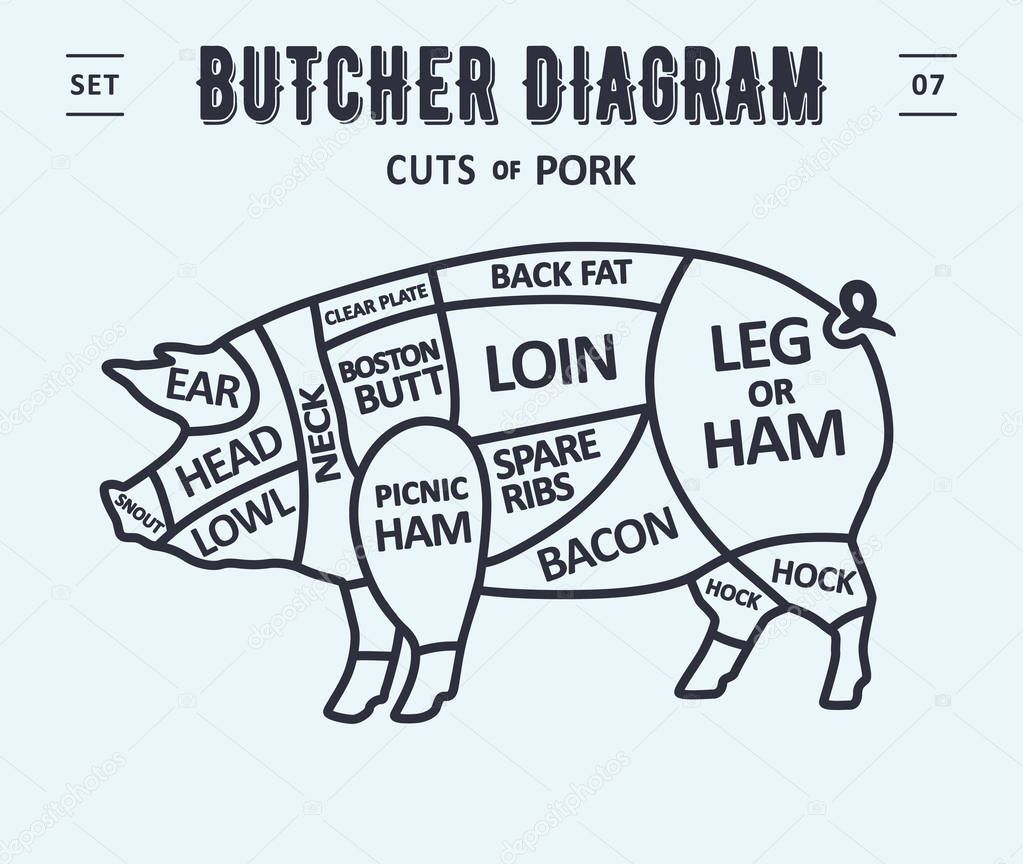 Cut of meat set. Poster Butcher diagram and scheme - Pork. Vintage typographic. Diagrams for butcher shop, design for restaurant or cafe. Vector Illustration