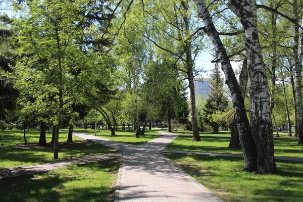 Sentiero Nel Parco — Foto Stock