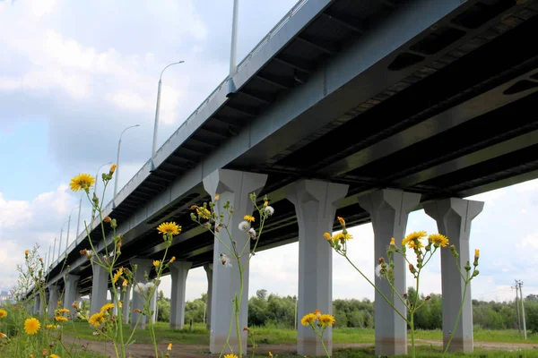 Puente Camino Largo Sobre Los Soportes Del Paso Elevado — Foto de Stock