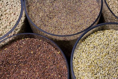 Tahıl tahıllar şeffaf kaplar içinde farklı türleri