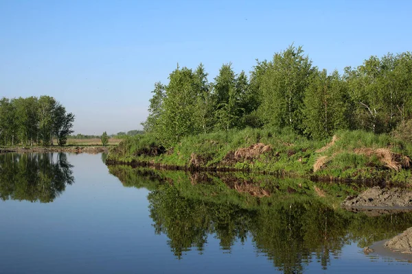 Skogen Höst Solen Vid Floden Bank Strålar — Stockfoto