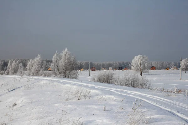 Rosyjska Zima Las Snow Drzewa Pokryte Śniegiem Drogach Śniegu Mrozu — Zdjęcie stockowe