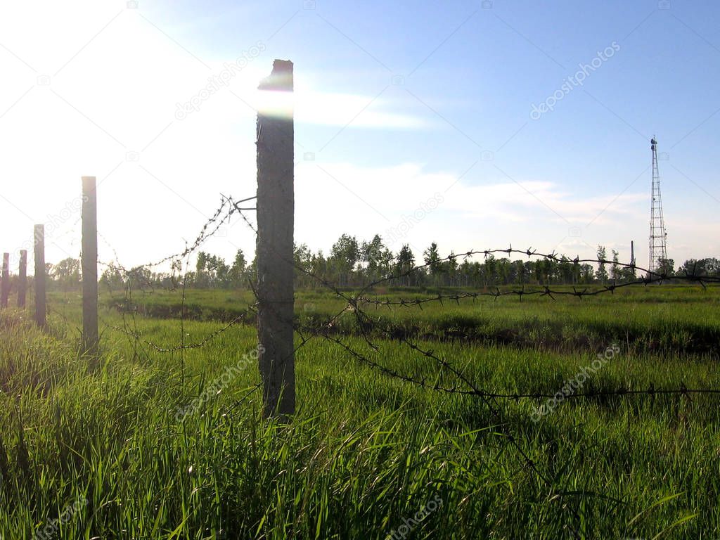 Green field of grass surrounded by concrete pillars, old barbed wire fence dangerous territory are out of bounds