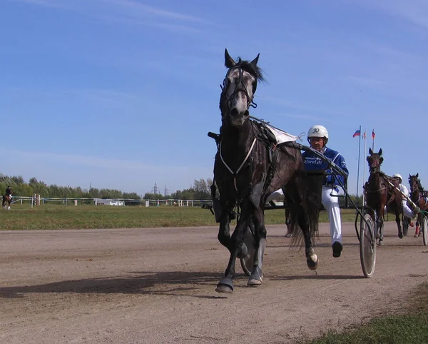 Dibujado Por Caballo Carreras Con Jinete Competiciones Caballos Trote Razas — Foto de Stock