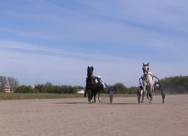 Rysowane Przez Wyścigi Koni Rider Zawody Konie Kłusem Ras Nowosybirsk — Zdjęcie stockowe