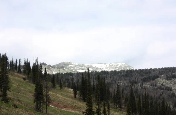 Magnifique Vue Sur Paysage Montagne Des Hauts Plateaux Vallée Montagne — Photo