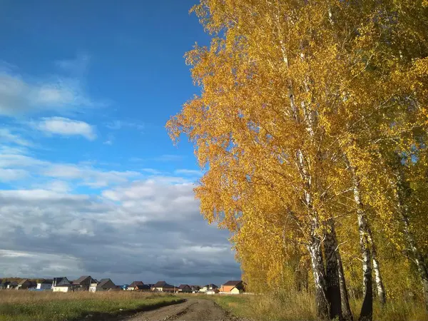 Albero Autunnale Coperto Foglie Gialle Sullo Sfondo Case Nel Cielo — Foto Stock