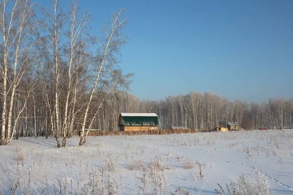 Grote Houten Dorpshuis Hut Staat Het Bos Tussen Sneeuwlaag Winter — Stockfoto